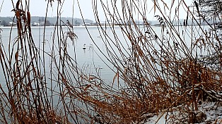 20210116_171626 - Kopie