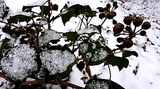 20210116_171912 - Kopie