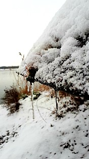 20210116_171945 - Kopie