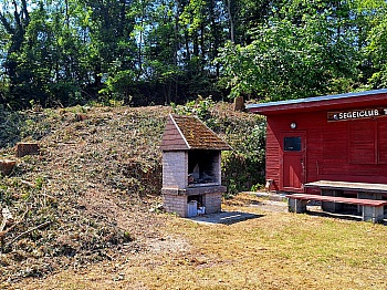 Baumschnitt8